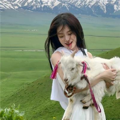 识骨寻踪第二季