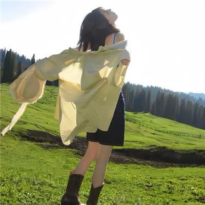 功夫阿宝：天下无拐